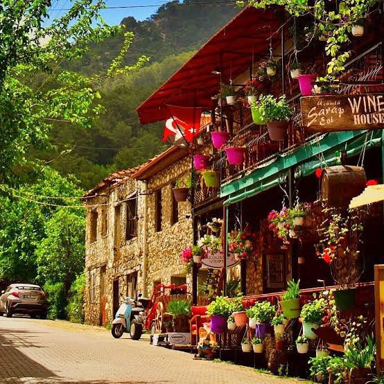 Village Safari By Double Decker Bus